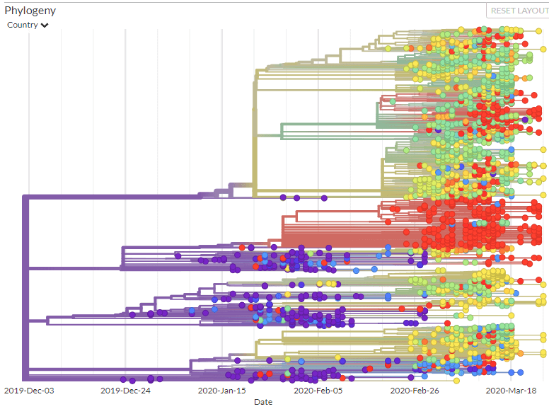 Genomic epidemiology of novel coronavirus