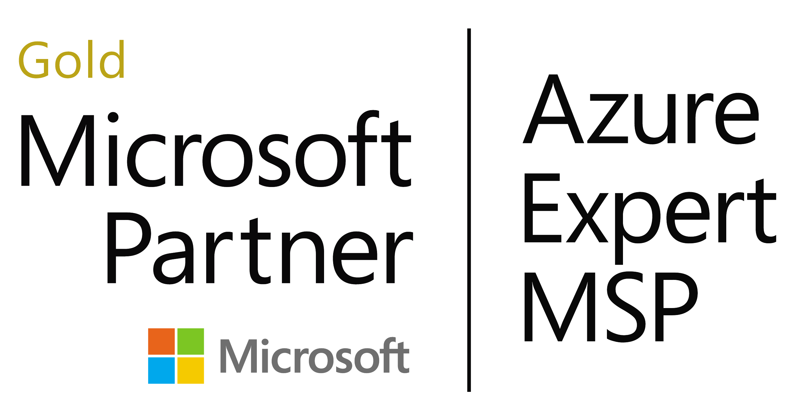 Microsoft Gold Partner
