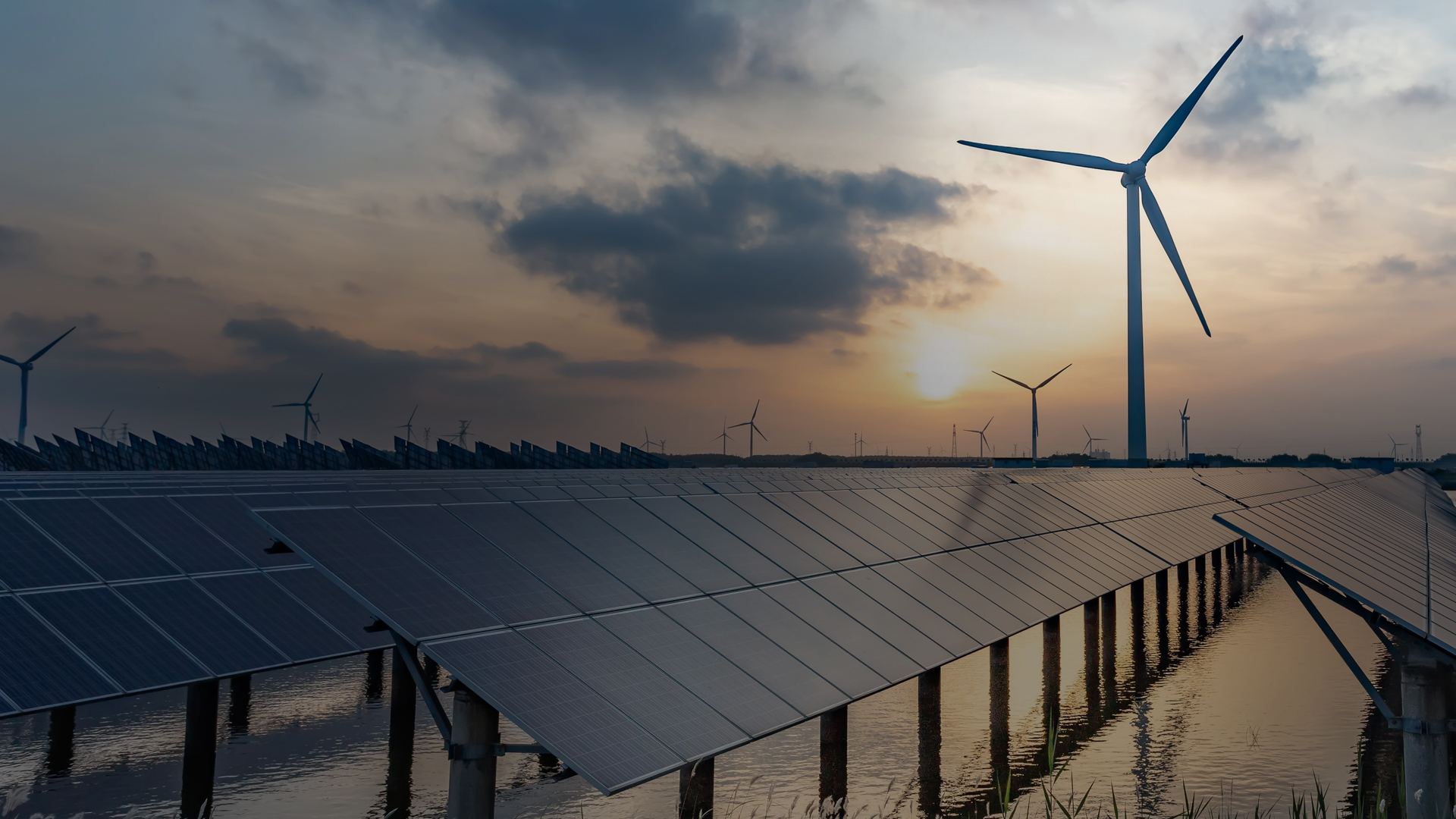 Global SAP SuccessFactors Implementation for a Leading Power Generation Organization